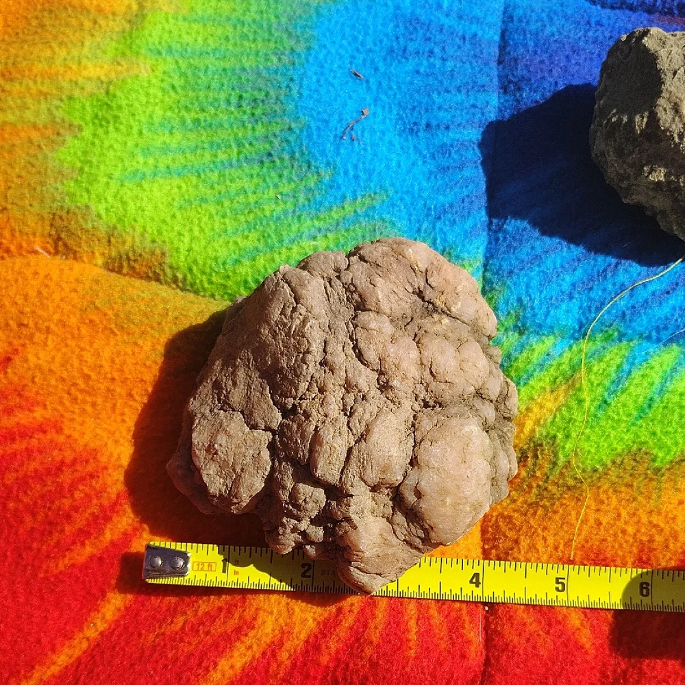 Natural Reptile Habitat Rock Decor